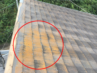 スレートに苔が生えている