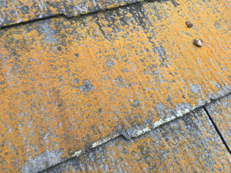 スレートの苔により、さらに劣化しやすい状態になっている