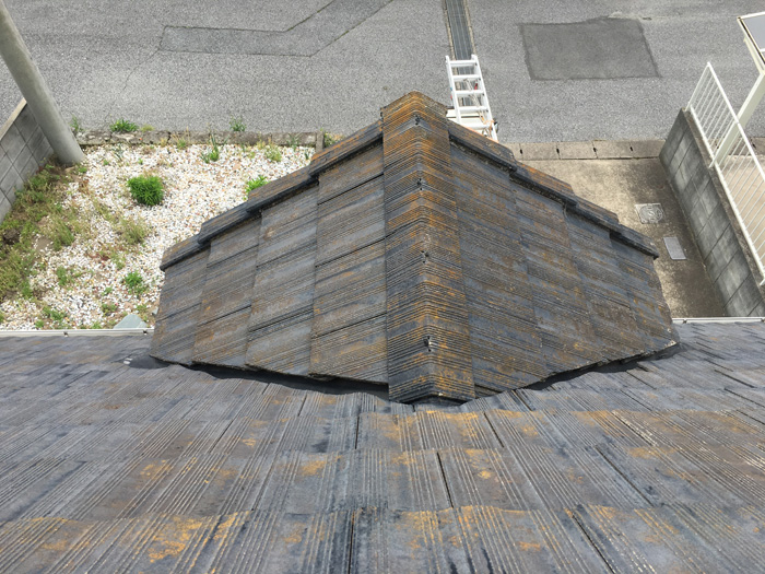 屋根に苔が生えている