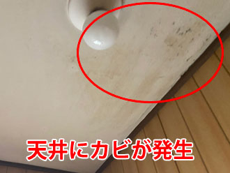 カビが発生した天井のクロス