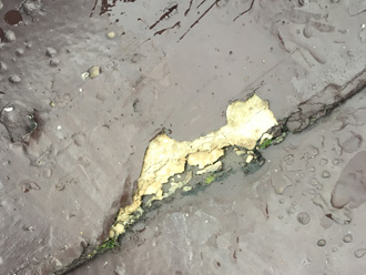 屋根の塗膜が剥がれている