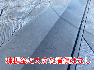 棟板金に大きな損傷はありません