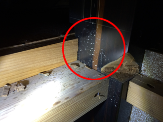 黒い柱に雨水が跳ねた跡