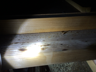 木材に黒い雨染みが発生