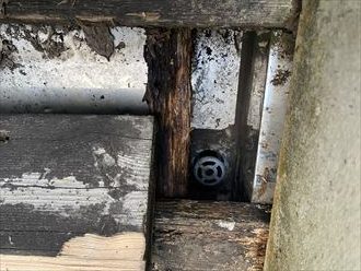 排水ドレン近くの点検