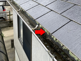 スレートに苔が生えている