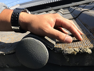 苔の塊が生えている箇所もあります