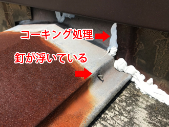 棟板金の釘が浮いている