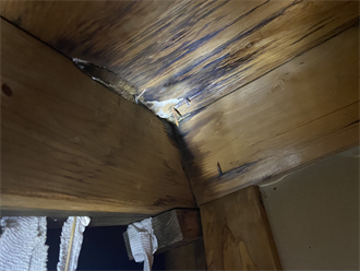 小屋裏の雨染み