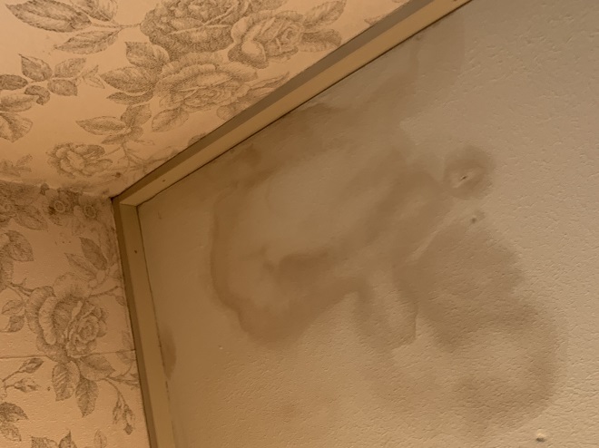 雨染みが広がる室内のクロス