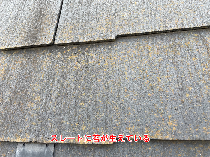 スレート屋根に発生したコケと劣化の兆候