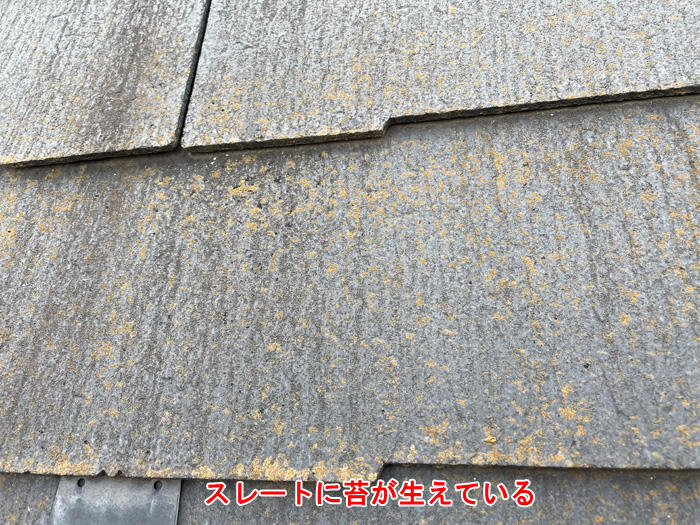 スレート屋根の苔が示す劣化のサイン