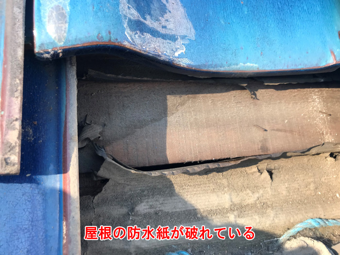 屋根の防水紙破れは最も深刻な状態