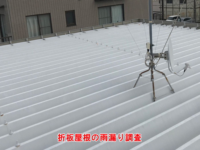 成田市飯田町で発見された折板屋根の雨漏り調査事例