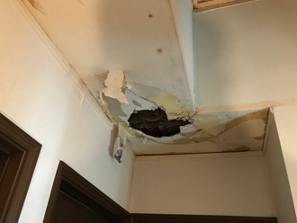 雨漏りによって傷んだ天井