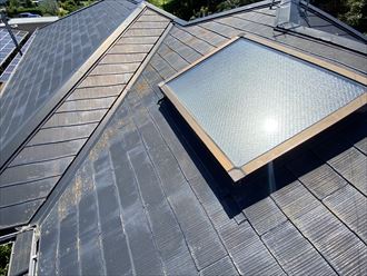 狛江市和泉本町にて天窓からの雨漏り調査、今後の補修方法として交換か撤去をご提案