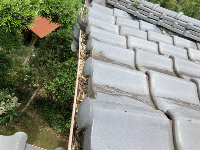 雨樋に溜まった落ち葉