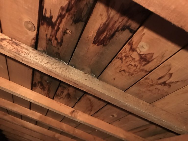 雨染みのできた屋根裏