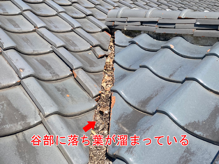 台風被害から数年後の雨漏り修理前調査、強風による瓦のズレや漆喰剥がれの問題が発覚