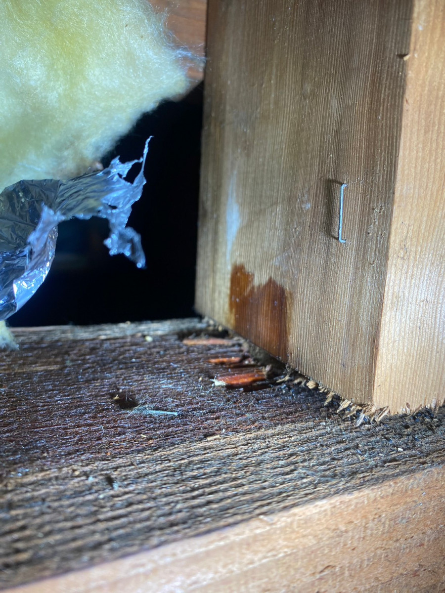 長久手市でベランダ水かけ試験により出てきた雨漏りの水