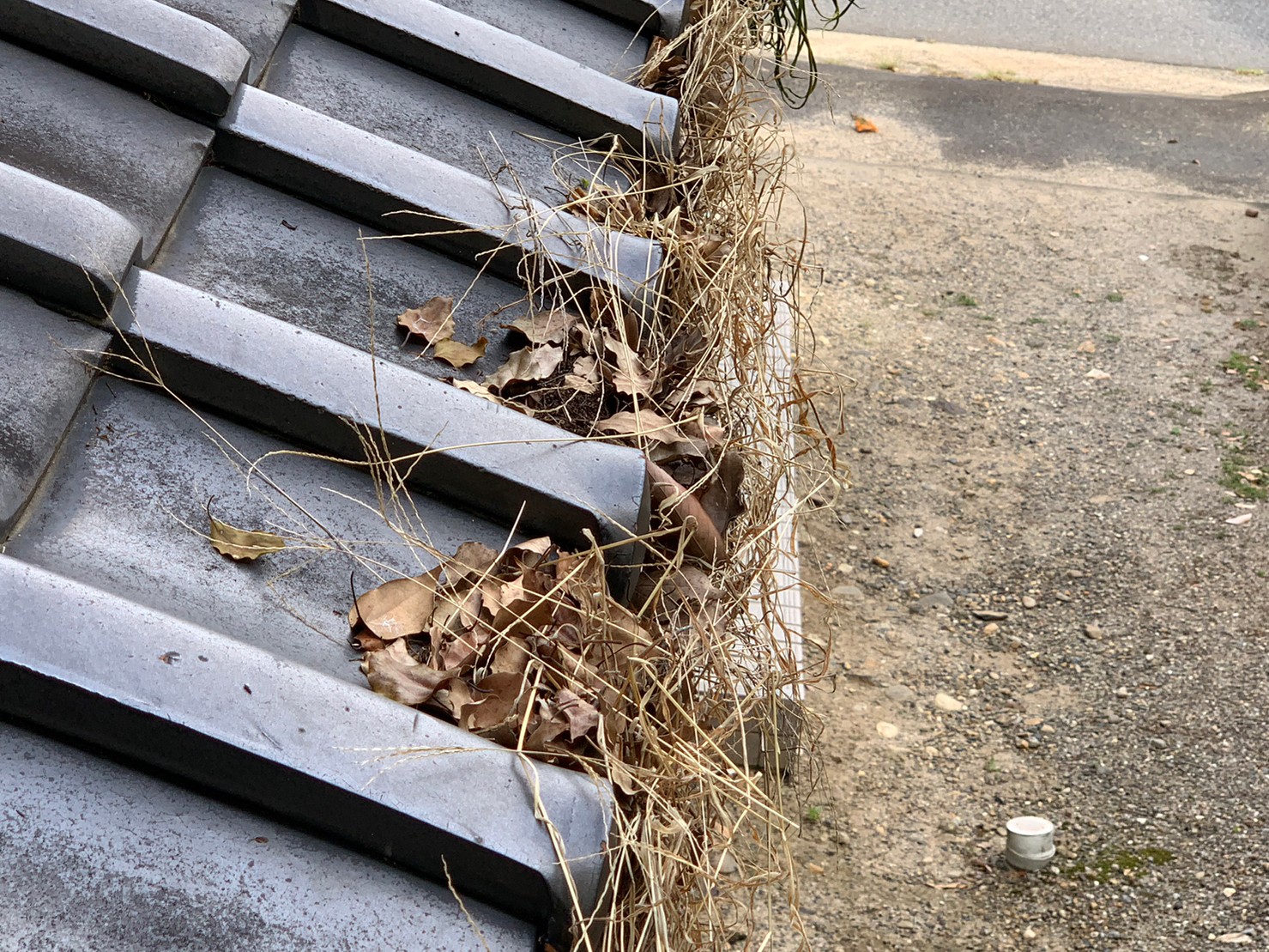 守山区で雨樋につまり