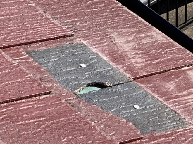 カラーベスト飛び