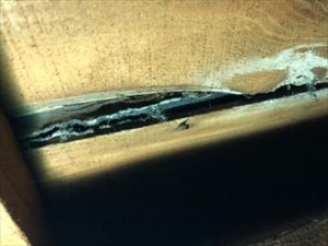 バラ板の隙間から破れた防水紙が見えます