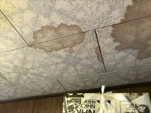 天井の所々には雨染みが出来ていました