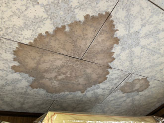 大きな雨染みが