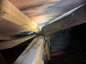 野地板にも雨染みが出来ています