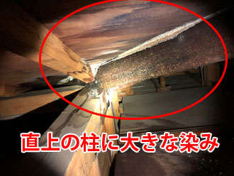 水たまり直上の柱に出来た大きな染み