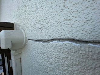 Vカット後の様子