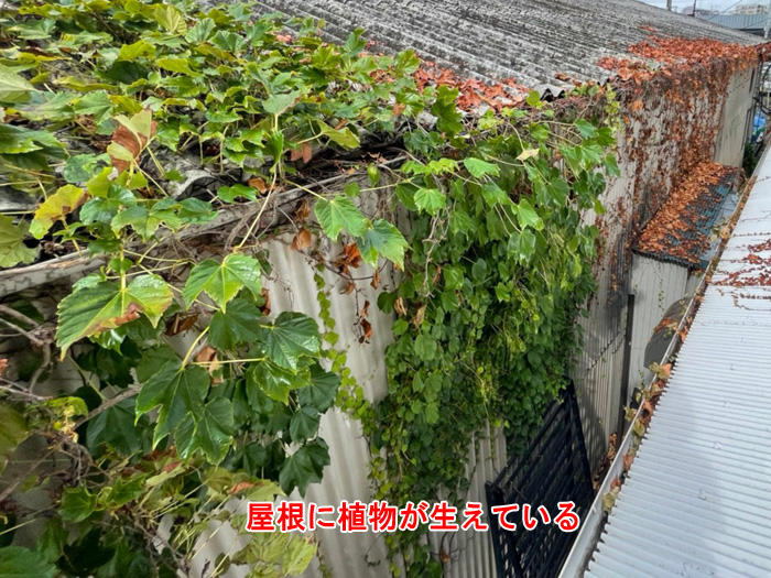 工場の屋根に使われる波板スレートの劣化と雨漏り対策｜香取市玉造の施工事例