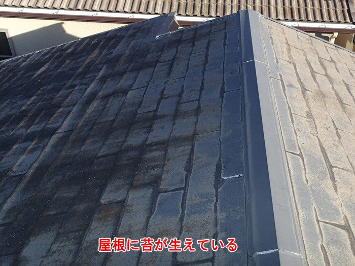 雨漏りの原因に要注意！鎌ケ谷市富岡で見つかったスレート割れ・棟板金の釘浮きと対策