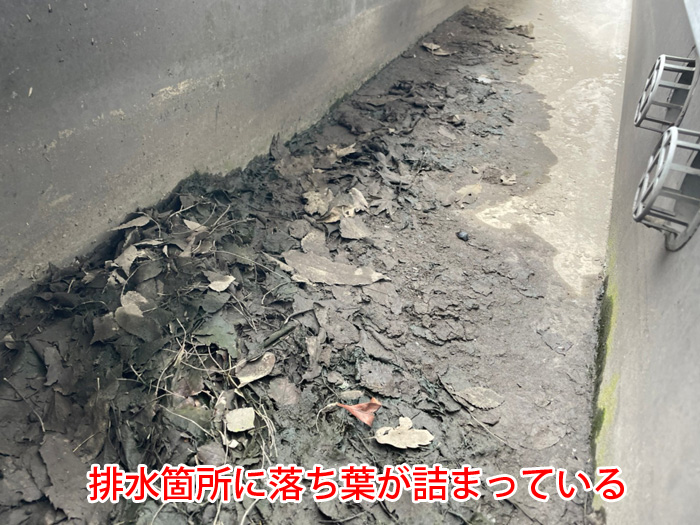 排水箇所に溜まった落ち葉が雨漏りを引き起こす