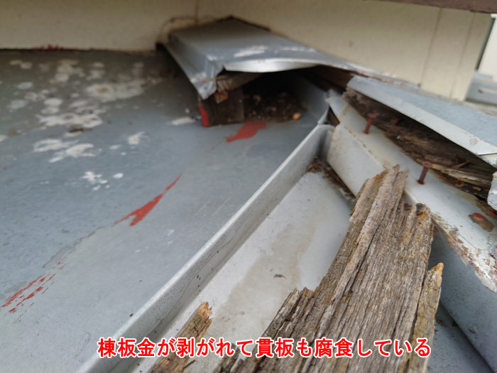 雨漏りは屋根から始まる！屋根の棟板金剥がれに注意【伊勢原市沼目の現場より】