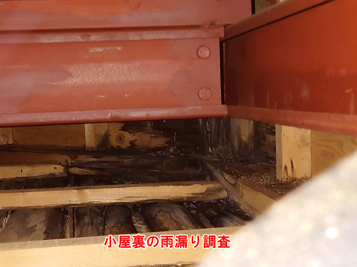 小屋裏の雨漏り調査