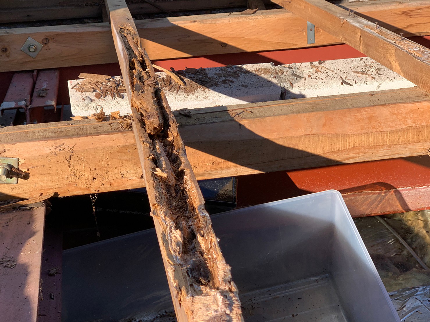 守山区で雨漏りによる垂木の腐り