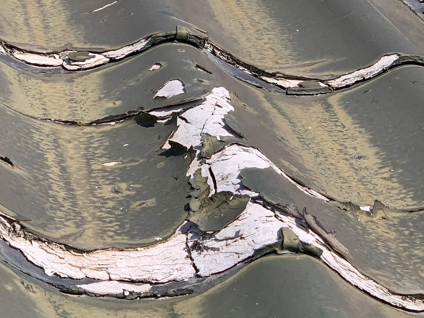 守山区のセメント瓦劣化状況