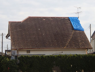 ブルーシートで雨養生