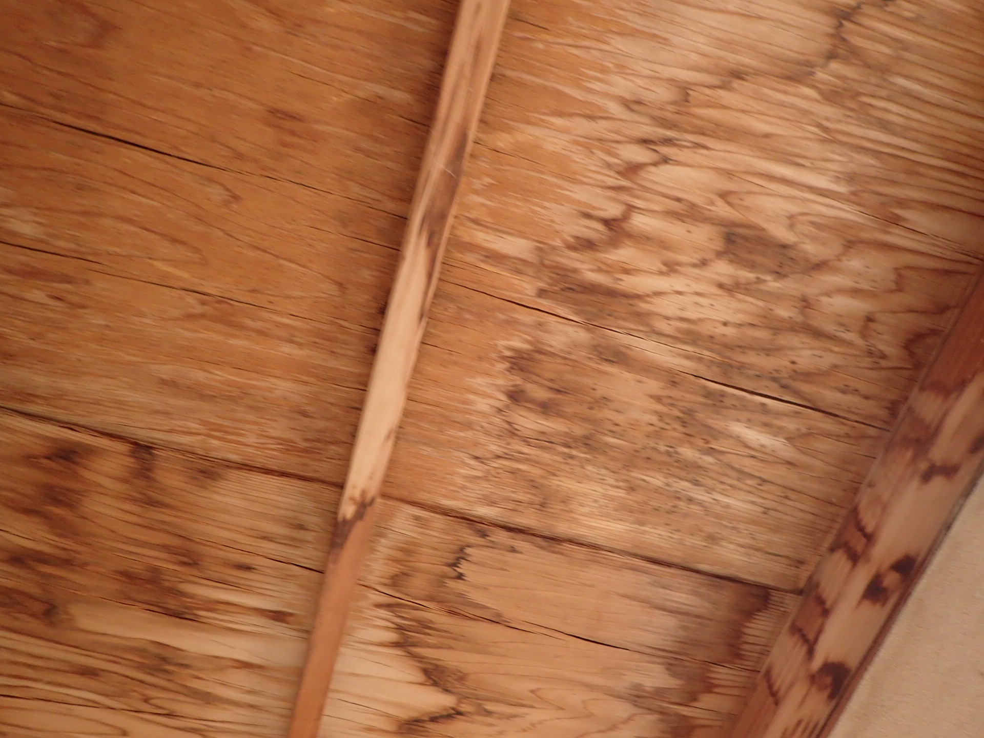 天井の雨漏り跡