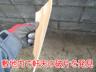 落下していた軒天の破片