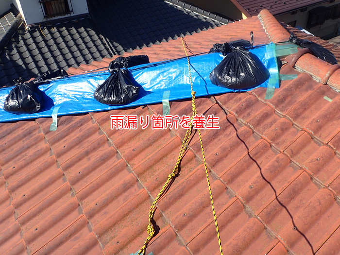 ブルーシートで雨漏り箇所の養生