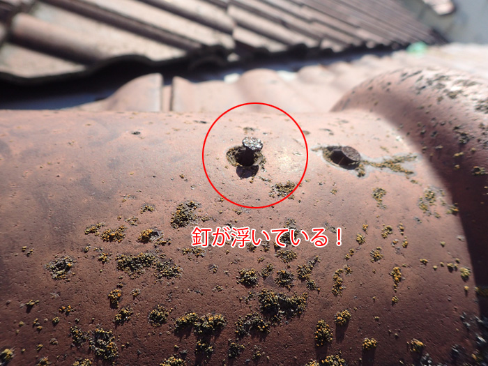 棟の釘が浮いている