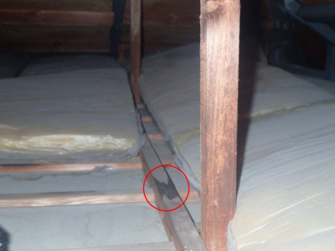 小屋裏の雨漏り跡