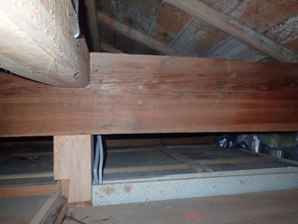 小屋裏の雨漏り調査