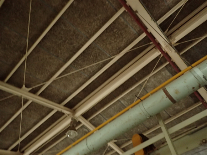 内部からの屋根点検