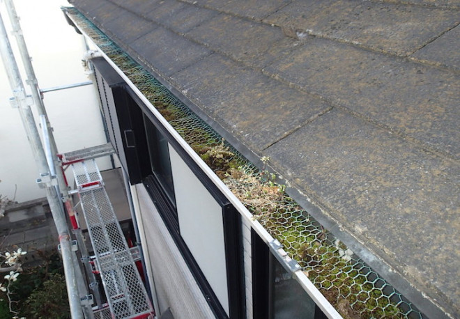 雨樋に葉っぱや砂が溜まっている