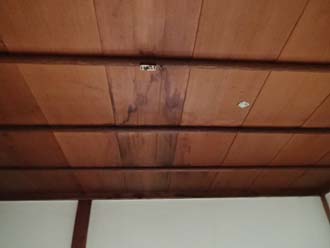 天井の雨染み