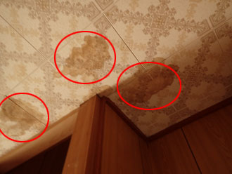 天井に雨染みが